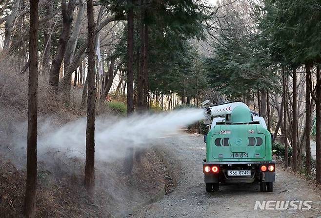 [부산=뉴시스] 하경민 기자 = 지난 30일 부산 사상구 엄광산에서 부산시보건환경연구원 동물위생시험소 관계자들이 아프리카돼지열병(ASF) 확산 방지를 위한 방역소독 작업을 펼치고 있는 모습.  2024.01.30. yulnetphoto@newsis.com