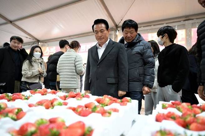 논산딸기축제 현장을 살펴보는 백성현 논산시장. 논산시