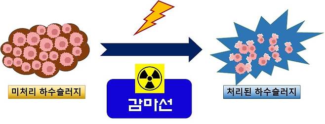 감마선 이용 하수슬러지 처리 과정 [한국원자력연구원 제공. 재판매 및 DB 금지]