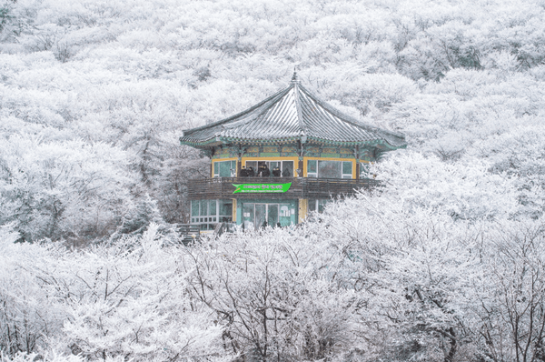 온라인 커뮤니티