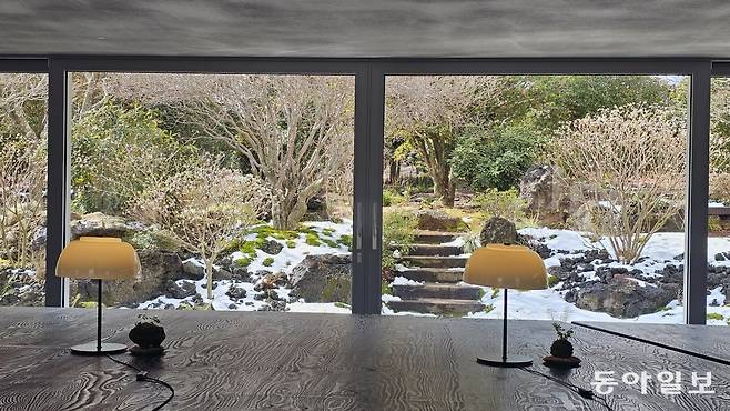 가시림 카페에서 바라본 제주의 자생식물. 서귀포=김선미 기자