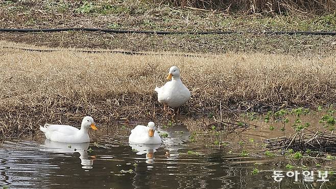 서귀포시 남원읍에 최근 문을 연 담소요. 서귀포=김선미 기자