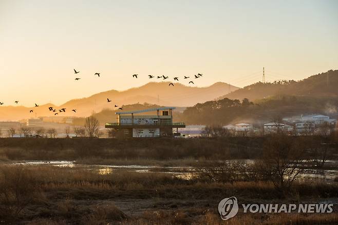 경남 김해시 화포천습지생태공원 [김해시 제공. 재판매 및 DB 금지]