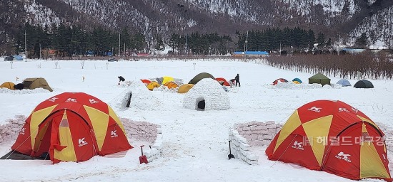 겨울왕국 울릉도 나리분지에는 요즘 가는 겨울을 아쉬워 한듯  스노 캠핑 마니아들이  ‘북적’이고 있다(독자제공)