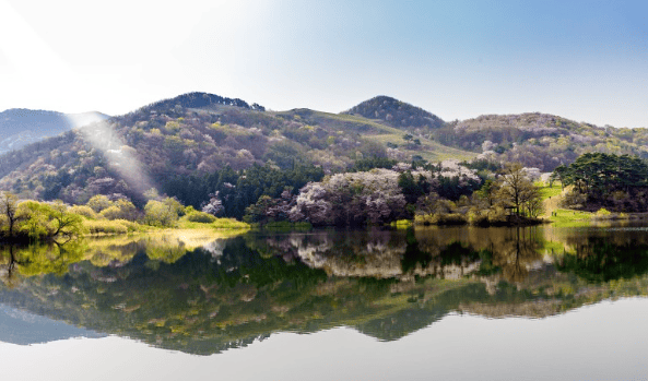 온라인 커뮤니티