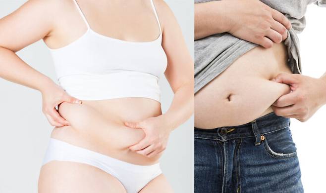 뱃살은 손에 가득 잡힌다는 이유로 다 똑같은 것처럼 보이지만 복부에 쌓인 지방에 따라 구분할 수 있다. [사진=게티이미지뱅크]