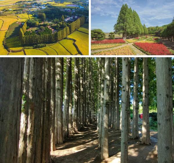 익산 가볼만한곳 추천 / 온라인 커뮤니티