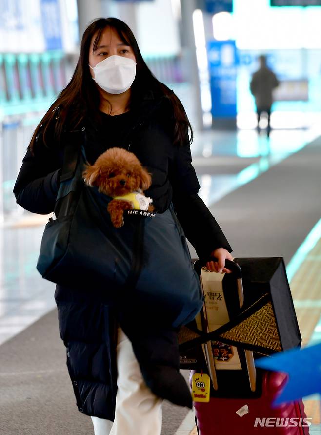 [광주=뉴시스] 이영주 기자 = 설 연휴를 앞두고 광주송정역에서 시민이 강아지와 함께 귀성하고 있다. 사진은 기사 중 특정내용과 무관. 2023.01.20. leeyj2578@newsis.com