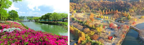 임실 가볼만한곳 추천 / 온라인 커뮤니티