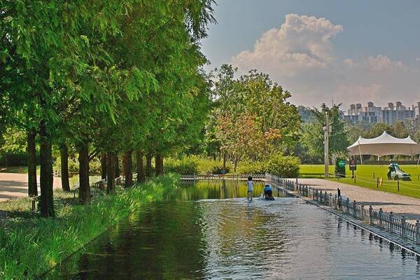 온라인 커뮤니티