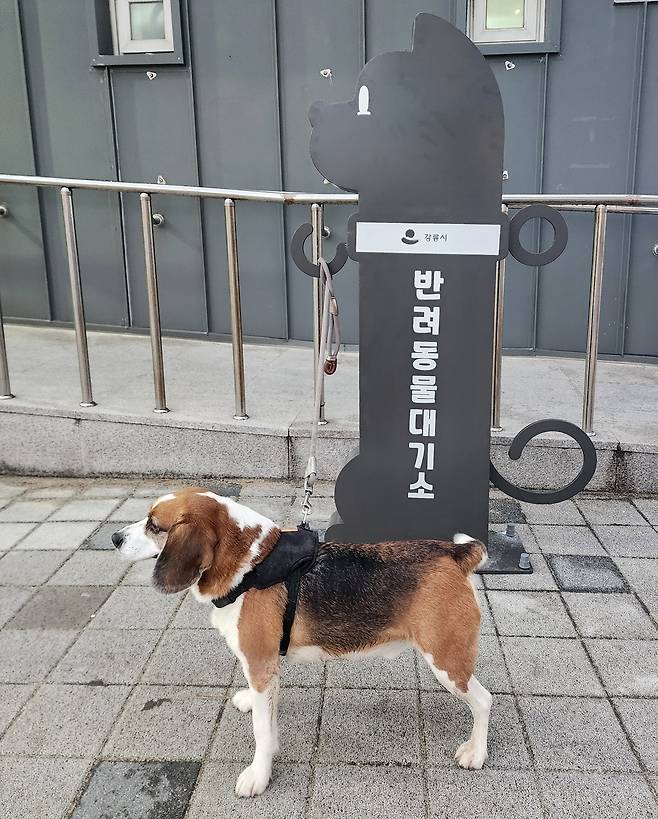 공중화장실 반려동물 대기소 [강릉시 제공. 재판매 및 DB 금지]