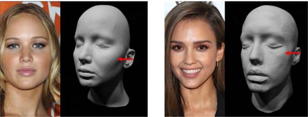 왼쪽 사진의 제니퍼 로렌스는 낮은 광대(low cheekbones), 오른쪽 사진의 제시카 알바는 높은 광대(high cheekbones)입니다. 서양인은 높은(high) 광대를 좋아해서 우리와 미적기준이 다를 것이라 생각하기 쉽지만, 다른 것은 미적 기준이 아니라 언어입니다.