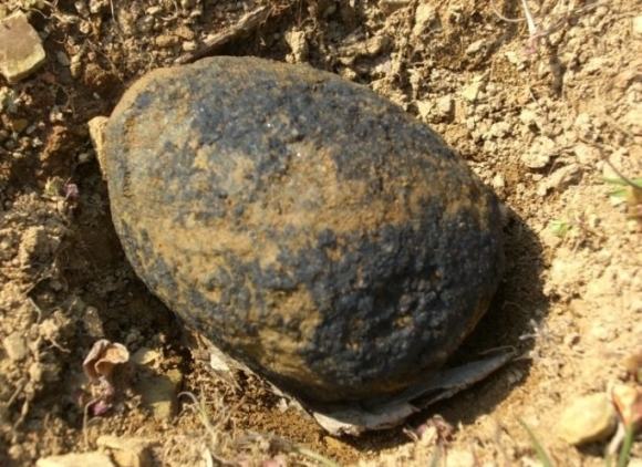 진주에서 세 번째 발견된 운석.
