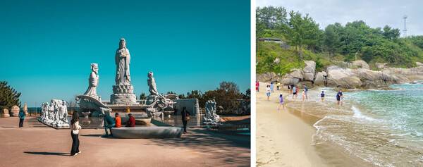 양양 가볼만한 곳 추천 / 온라인 커뮤니티