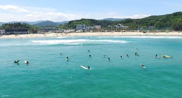 양양 가볼만한 곳 추천 / 온라인 커뮤니티