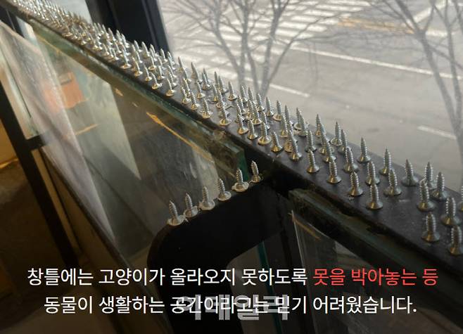 지난달 19일 동물자유연대가 현장 실태조사를 위해 방문한 경기도 화성시의 A반려동물 카페. 유기동물을 보호한다고 홍보하고 있는 해당 업체에는 곳곳에서 학대 흔적이 발견됐다.(사진=동물자유연대)