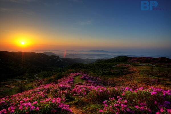 출처 = 게티이미​지뱅크