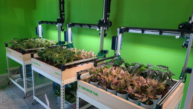 싱고니움 핑크스팟 등이 자라고 있는 팜셀의 모습. 게임에서 물을 주면 연동된 로봇이 지정된 식물에 자동으로 물을 주는 스마트팜의 형태를 띠고 있다. 셈스게임즈 제공