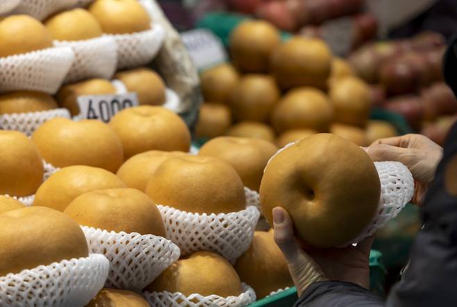 Pears are displayed at a fruit vendor in the Cheongryangri Fruit & Vegetable Market on Monday. (Yonhap)