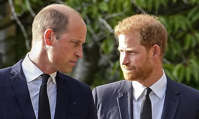영국 윌리엄 왕세자(왼쪽), 해리 왕자. AP연합뉴스