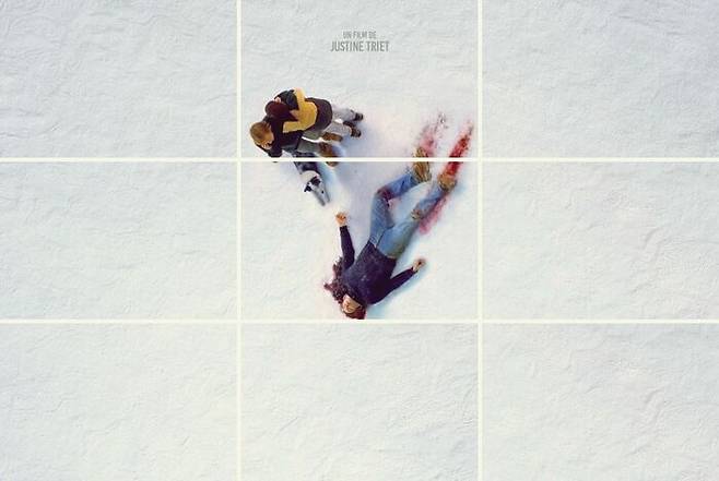 "추락의 해부" 포스터 중 / 그린나래미디어