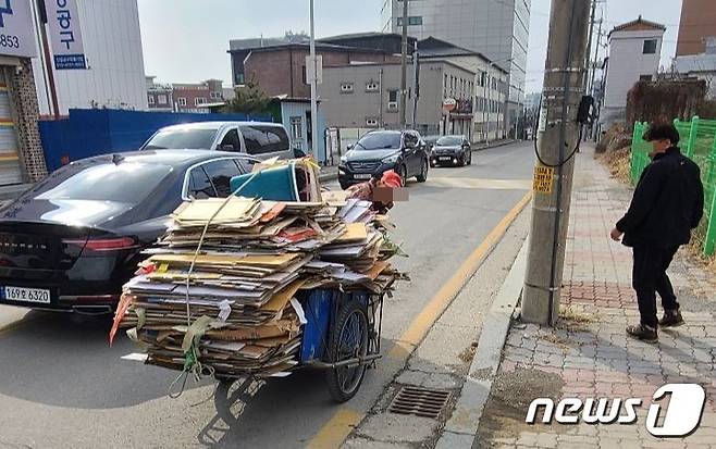 제천시가 '재활용품 수집인 폐지 단가 지원 사업'을 올해 시행한다.  한 어르신이 폐지를 잔뜩 실은 리어커를 끌고 있다.2024.2.12 / 뉴스1 ⓒ News1