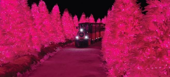 ⓒ포천 허브아일랜드