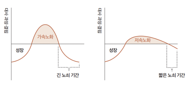 성인 시기의 대사 과잉과 노쇠와의 상관관계를 나타낸 그래프. 성인 시기의 대사 과잉이 심하면(왼쪽) 질병과 노쇠가 일찍 찾아오고 노쇠 기간도 길어진다. 반면 성인 시기의 대사 과잉을 최소화할 경우 노쇠가 찾아오는 시간을 늦춰 생물학적인 노화가 덜 진행된 몸을 유지할 수 있다. 한빛라이프 제공