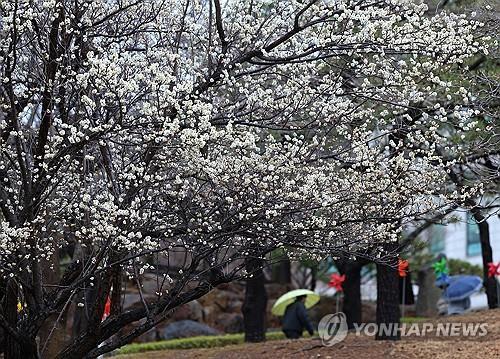 [연합뉴스 자료사진]