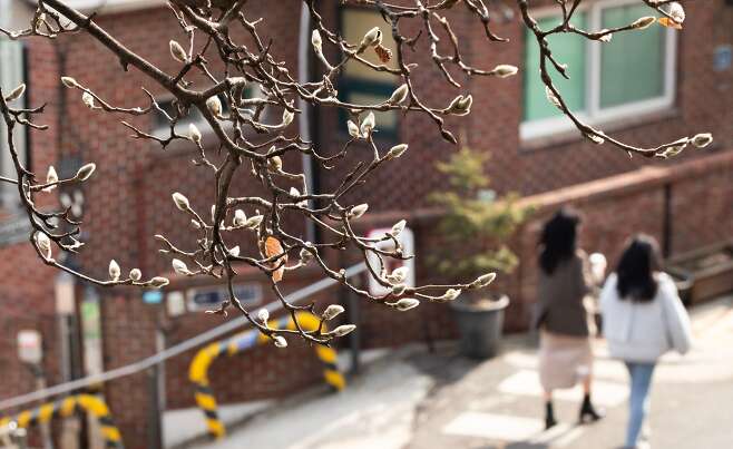 기온이 오르며 봄 기운이 감도는 13일 오후 서울 중구 장충동 신당동 거리에서 시민들이 산책을 즐기고 있다. /박상훈 기자