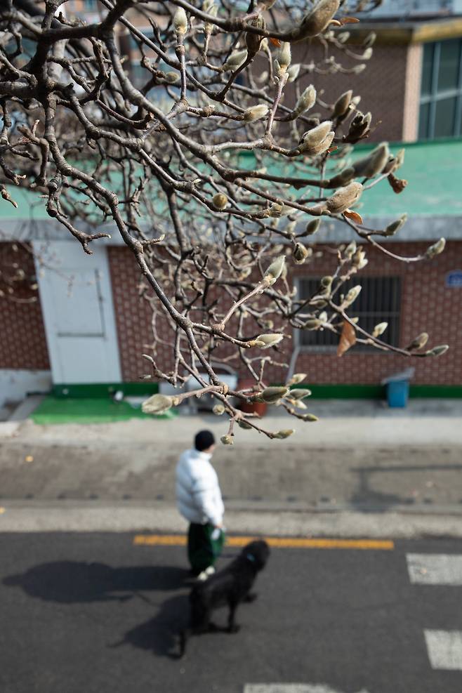 기온이 오르며 봄 기운이 감도는 13일 오후 서울 중구 신당동 거리에서 시민들이 산책을 즐기고 있다. /박상훈 기자