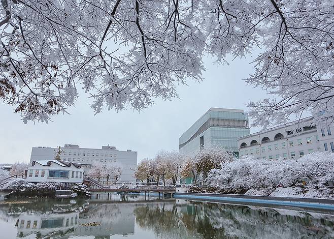 원광대학교 전경./사진제공=원광대