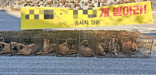 "우리는 아무 죄가 없는데"  개식용 종식을 반대하는 업자들이 혹한에 개들을 철창에 구겨 넣어 시위하는 모습. [카라 제공]