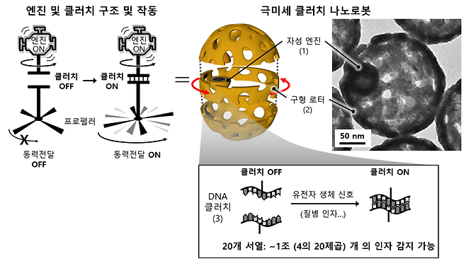 기초과학연구원(IBS) 나노의학 연구단 천진우 단장팀이 개발한 생체 나노로봇은 DNA 클러치에 1조개 이상의 질병 인자를 감지하도록 프로그래밍해 다양한 질병원인 유전자를 찾아낼 수 있다. IBS 제공