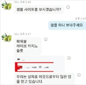 북한 정보기술(IT) 조직 ‘경흥’ 조직원(왼쪽)과 국내 범죄조직 관계자가 메신저를 통해 불법 도박사이트 제작에 대해 논의하고 있다.  /국가정보원 제공