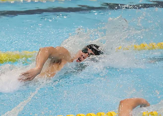 황선우가 세계수영선수권 남자 자유형 100m 결승에 진출했다. 사진은 지난해 전국체전에서 황선우의 경기 모습. /사진= 뉴스1