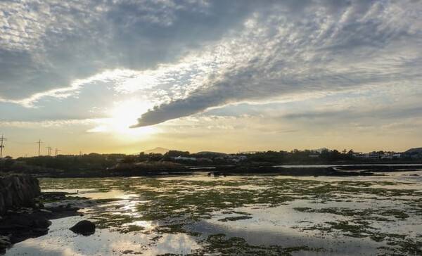 온라인 커뮤니티