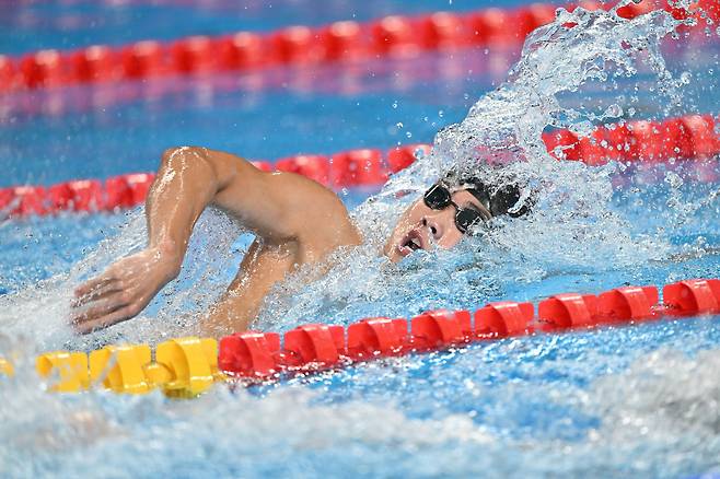 카타르 도하에서 열린 2024 세계수영선수권대회에 출전한 황선우 선수. /신화 연합뉴스
