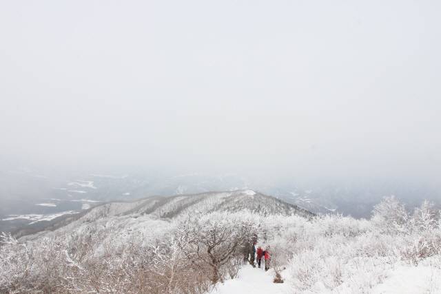 ▲ 계방산의 부드러운 산세