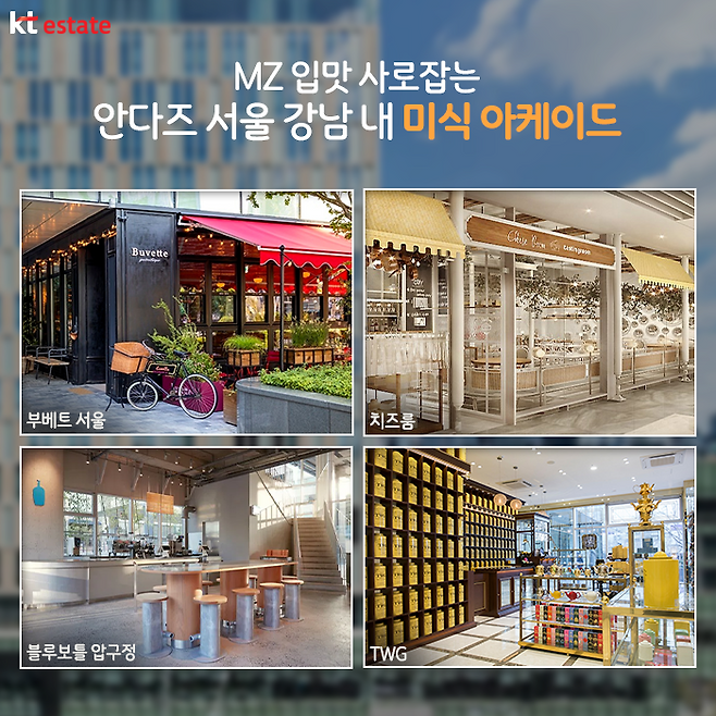 신흥인테리어디자이너 이미지