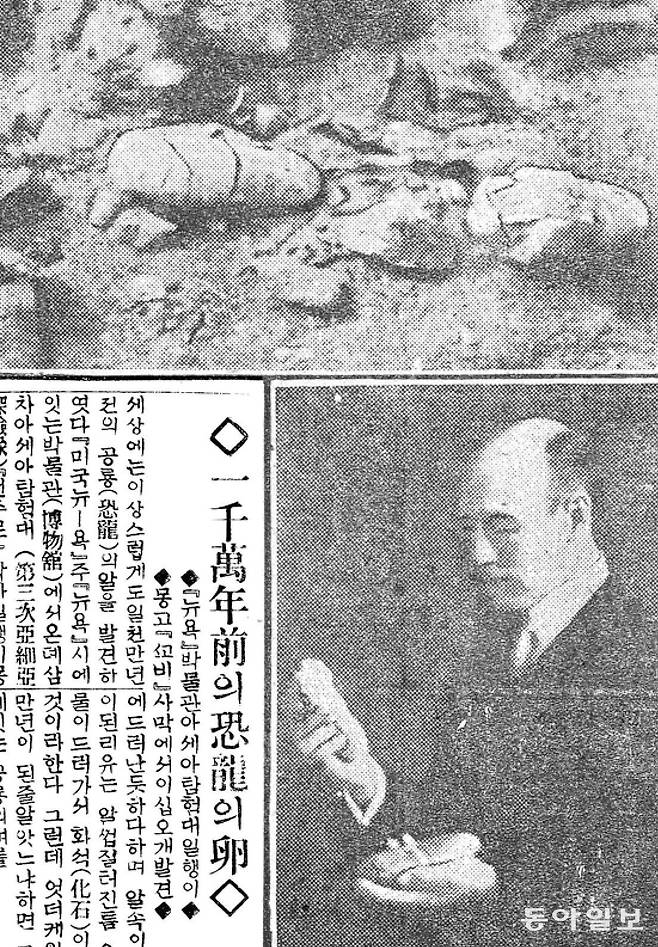 앤주로 박사가 공룡의 알을 들고 있는 모습. 1924년 2월 13일자 동아일보