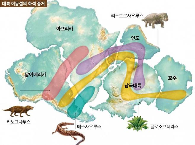 멀리 떨어진 서로 다른 대륙에서 같은 생물이 발생했을 가능성보다, 해당 생물이 발생할 당시 대륙들이 붙어 있었을 가능성이 높다고 보는 것이 합리적이다. 동물들의 화석은 대륙 이동설의 근거 중 하나로 꼽힌다. 그림은 알프레드 베게너가 제안한 원시 대륙 판게아다. 정종훈 제공