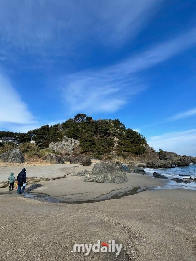 일본 하치노헤. /이지혜 기자