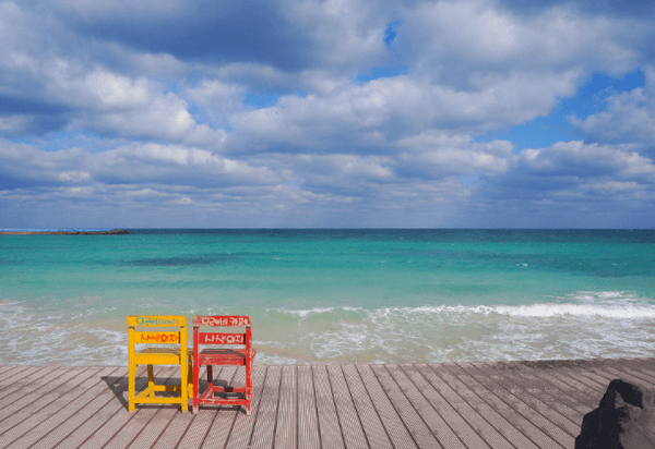 온라인 커뮤니티