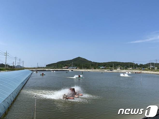 신안군 왕새우 양식장 (신안군 제공)/뉴스1