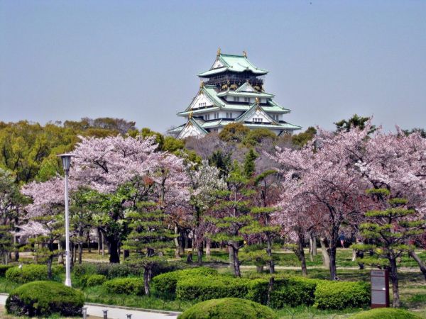 일본 오사카성 벚꽃[사진제공=하나투어]