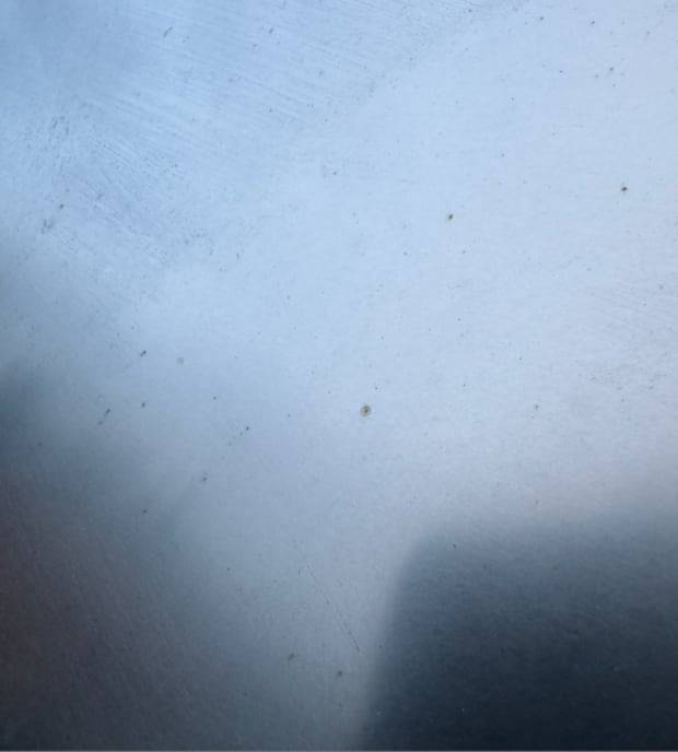 사이버트럭 차체 표면 위에 부식으로 보이는 갈색 점이 여러개 찍혀있다. /테슬라 소유주 커뮤니티 캡처