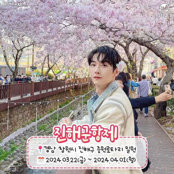 2024 봄꽃축제 일정 총정리 / ⓒ여행톡톡