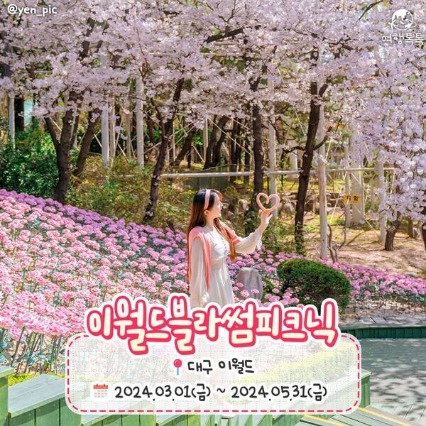 2024 봄꽃축제 일정 총정리 / ⓒ여행톡톡