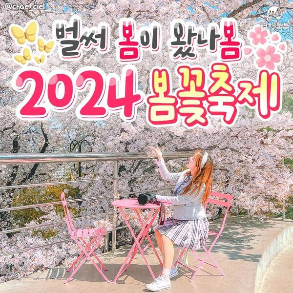 2024 봄꽃축제 일정 총정리 / ⓒ여행톡톡